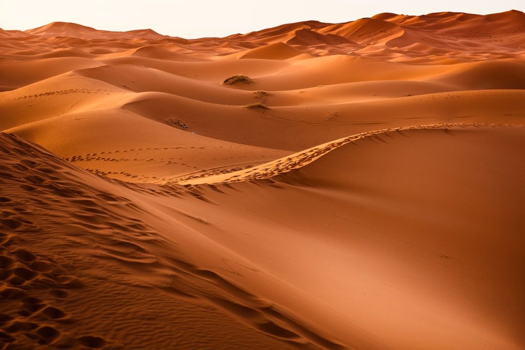 desert, sand dunes, dunes-1270345.jpg